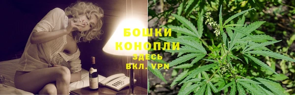 стафф Володарск