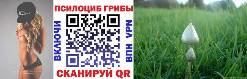 Псилоцибиновые грибы мухоморы  ОМГ ОМГ зеркало  Подпорожье  купить наркотик 