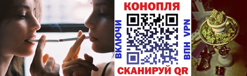 Бошки Шишки сатива Подпорожье